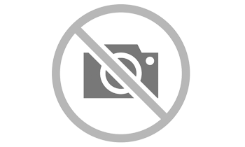 PLACA DISCO PARA STIHL FS160 FS220 FS280 10 DIENTES